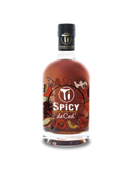 Ti Spicy Punch mit Rum 70cl 45%