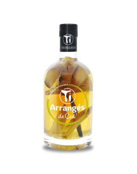 Pomme Gingembre Punch Au Rhum 35cl 32%